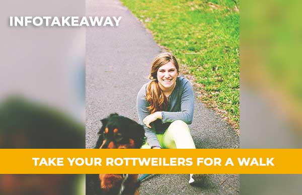 Take Your Rottweiler For Daily Walks