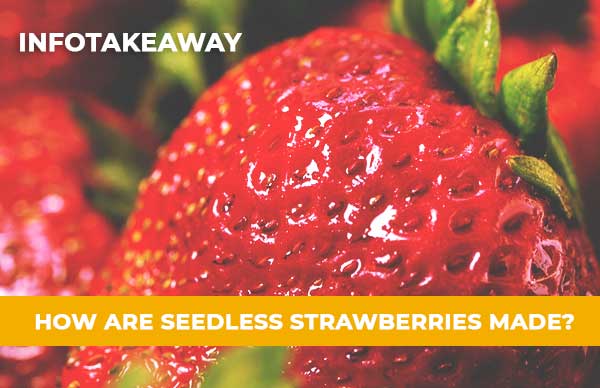 How Is A Strawberry Without Seeds Made