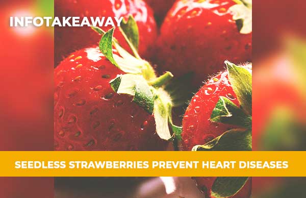 Seedless Strawberries Prevent Heart Diseases