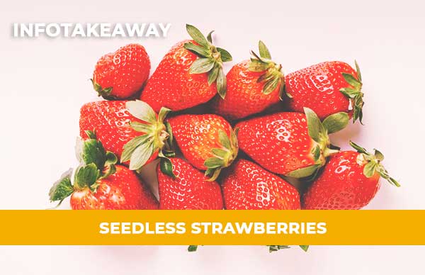 Seedless Strawberries