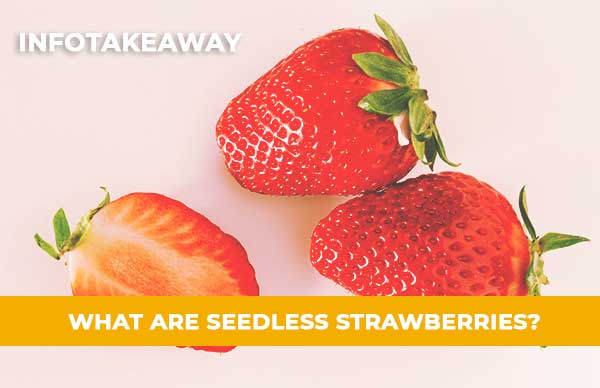 What Are Seedless Strawberries