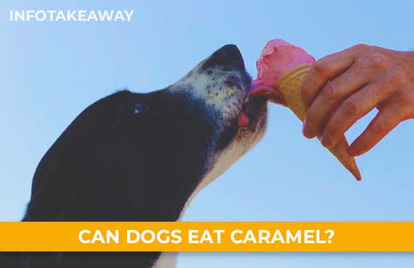 Can Dogs Eat Caramel