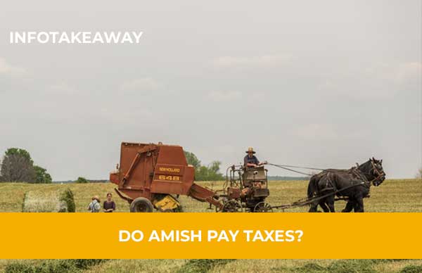 do-amish-pay-taxes-all-you-need-to-know-infotakeaway