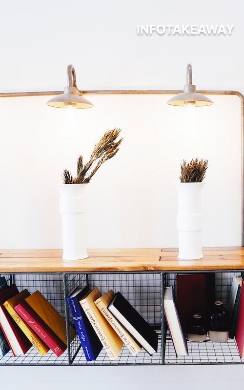 Shelf with plants and books