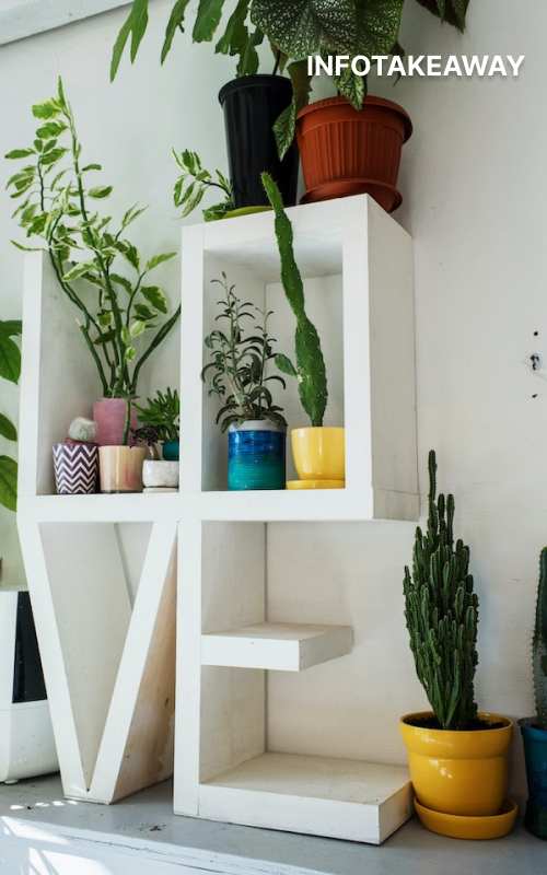 Plant pots and shelves