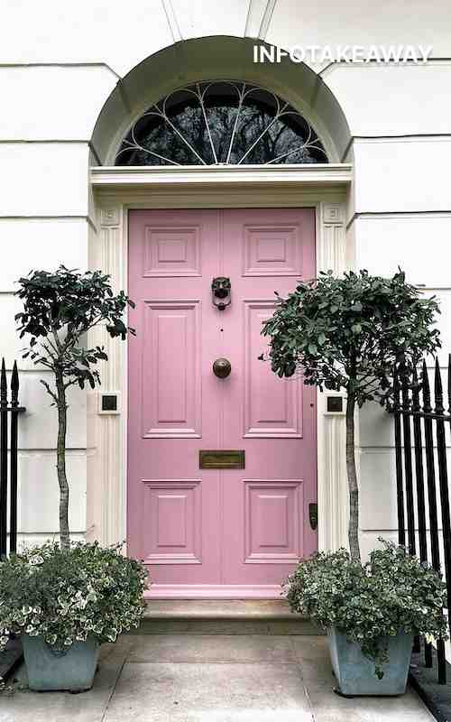 Plant pots around door